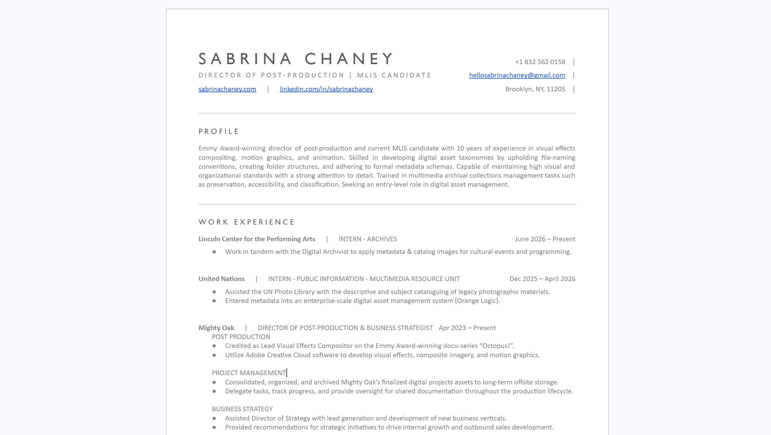 Professional Resume/CV